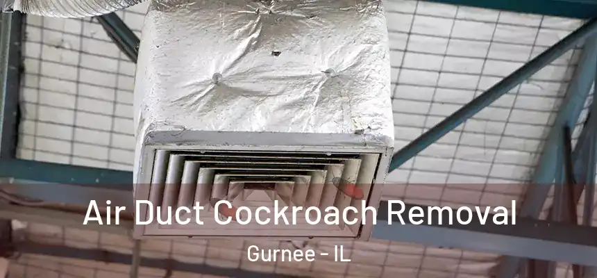 Air Duct Cockroach Removal Gurnee - IL