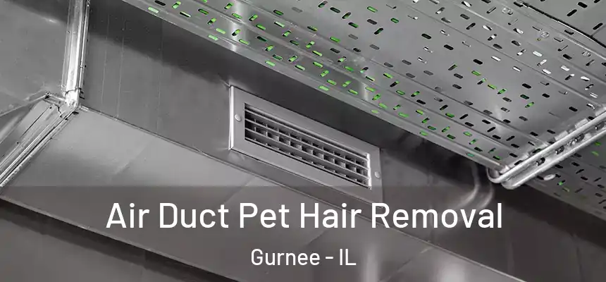 Air Duct Pet Hair Removal Gurnee - IL