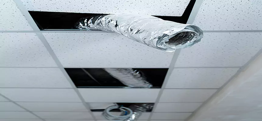 Affordable HVAC Sanitizing After Pest Removal in Gurnee