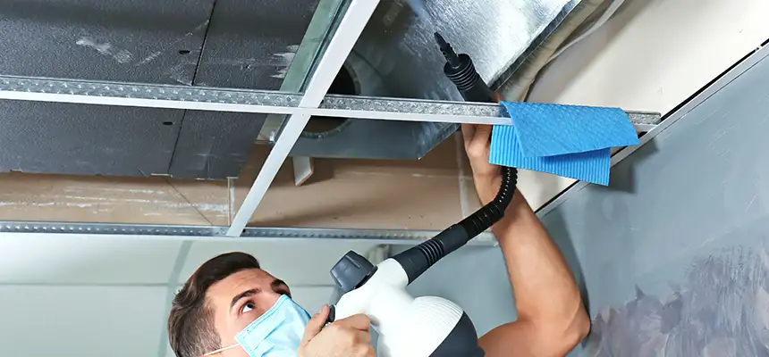 Our Air Duct Rodent Removal Services in Gurnee, IL