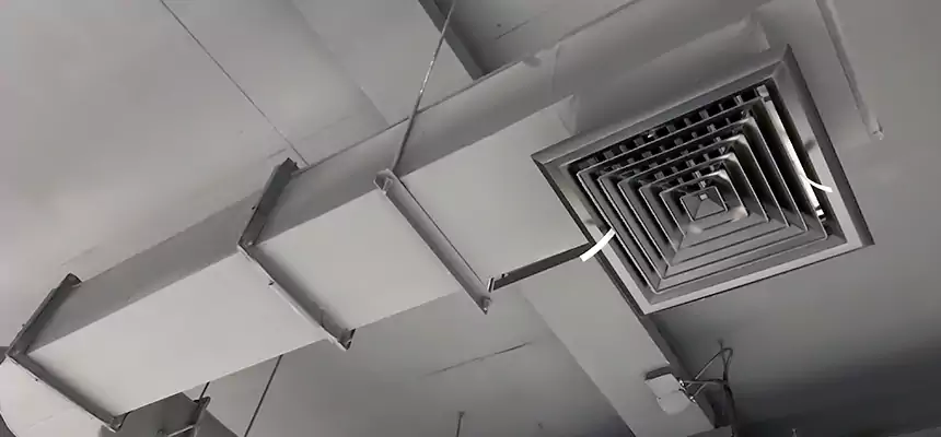 Our Pest Removal From Ducts Services in Gurnee, IL