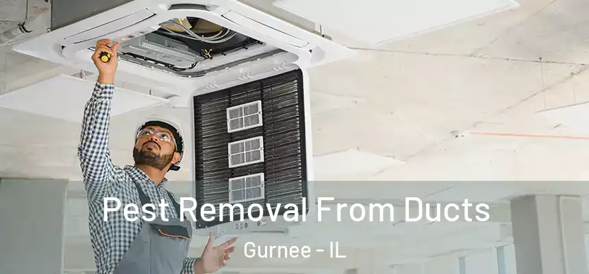 Pest Removal From Ducts Gurnee - IL