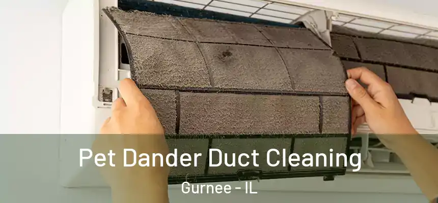 Pet Dander Duct Cleaning Gurnee - IL