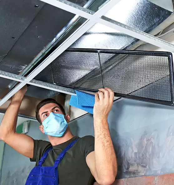 Professional Air Duct Pollen Cleaning in Gurnee, IL