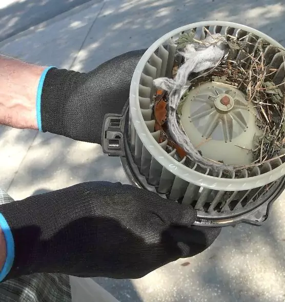 About Air Duct Rat Removal in Gurnee, IL