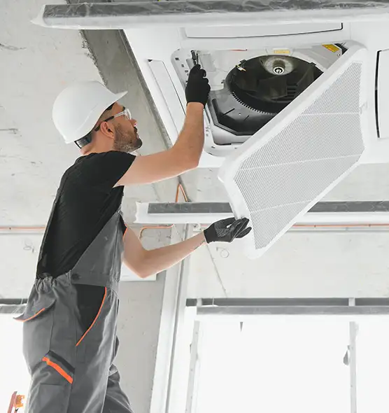 About Air Duct Rodent Removal in Gurnee, IL