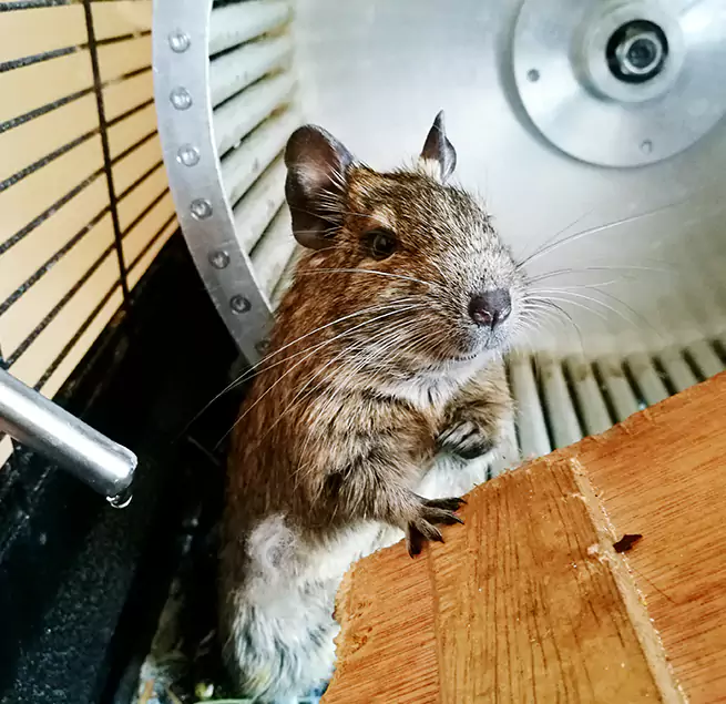 Why Homeowners & Businesses Trust Us Gurnee, IL