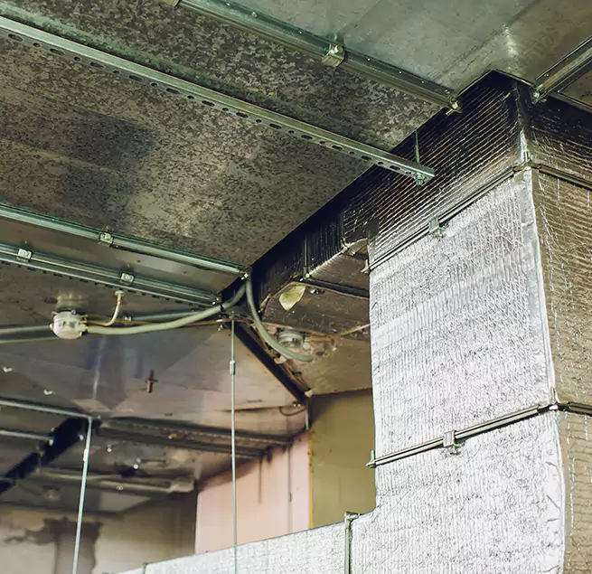 Why Homeowners & Businesses Trust Us in Gurnee, IL?